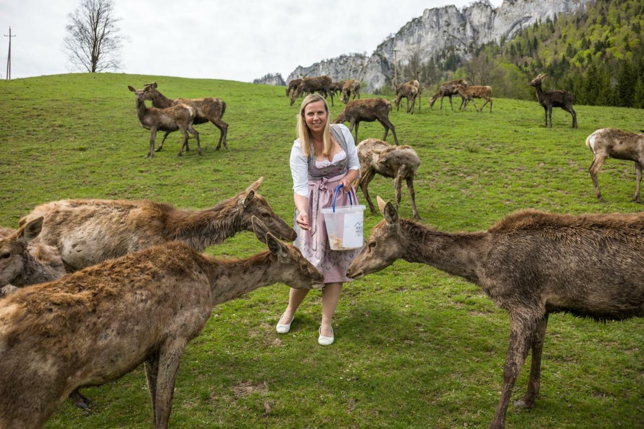 Berghof Haselsberger Sankt Johann in Tirol Exterior foto